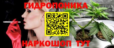 трава Можайск