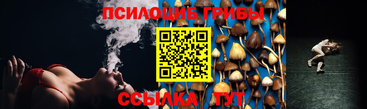 Тулун  Псилоцибиновые грибы Psilocybe  Вход с VPN 